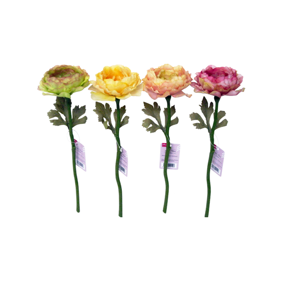 Short Stem Rununculas Nature