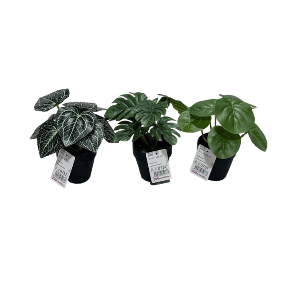 Green Pot