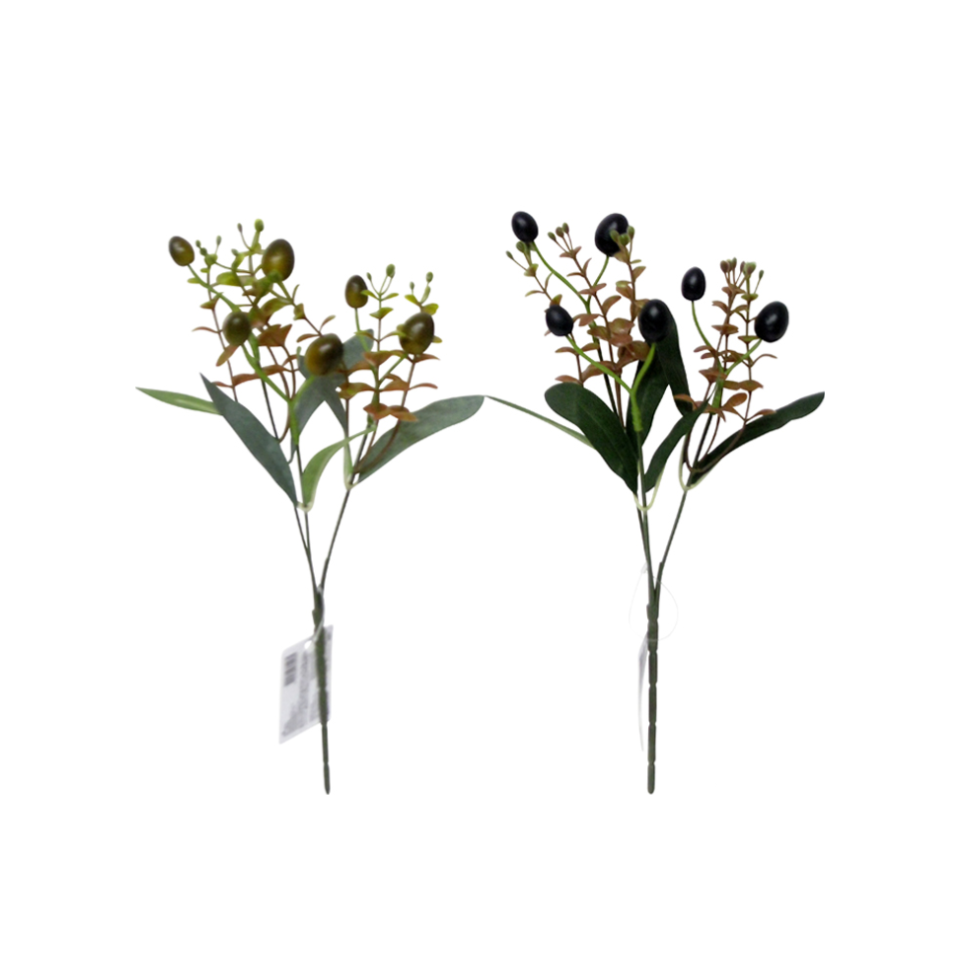 Olive Bush