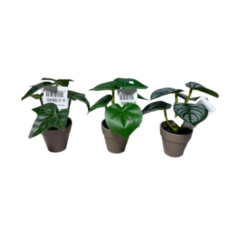 Green Pot