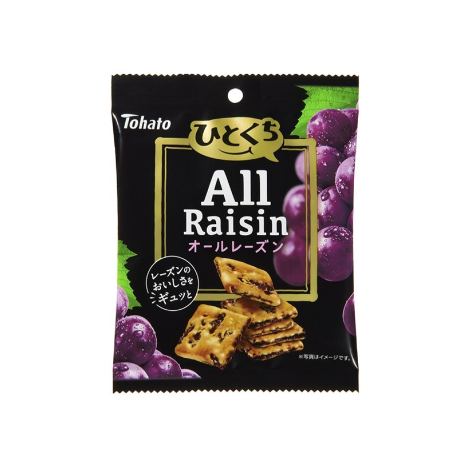 Tohato One-Bite All Raisin Cookies 45g