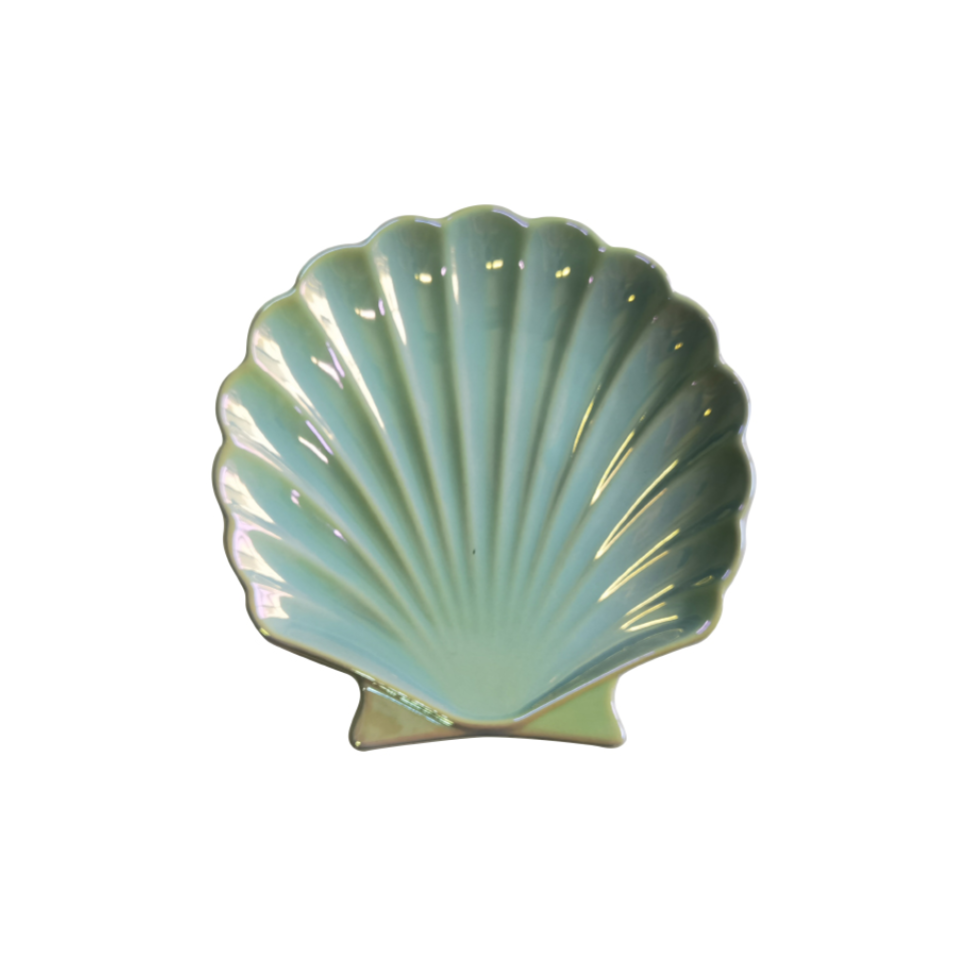 Shell Plate Mint 15.5cm