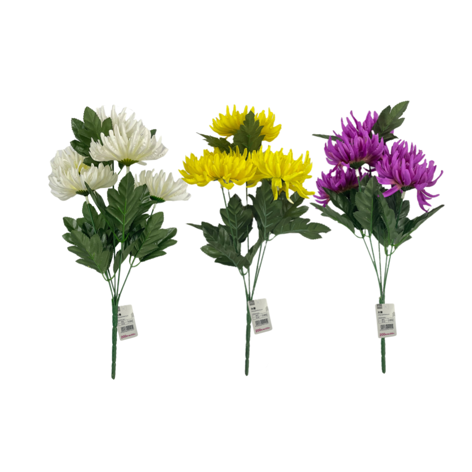 Large Chrysanthemum