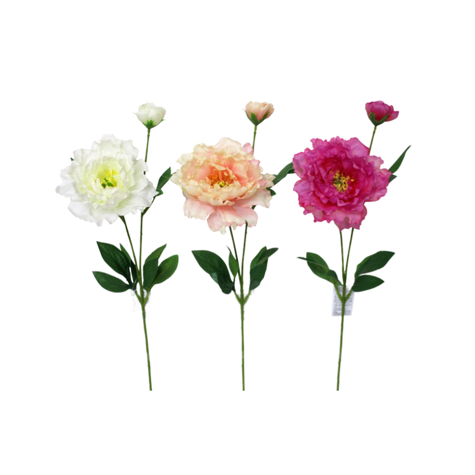 Peony