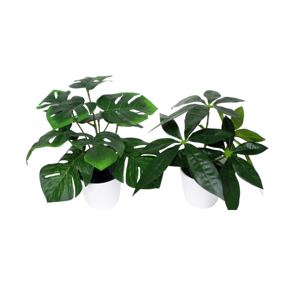 Green Pot 1