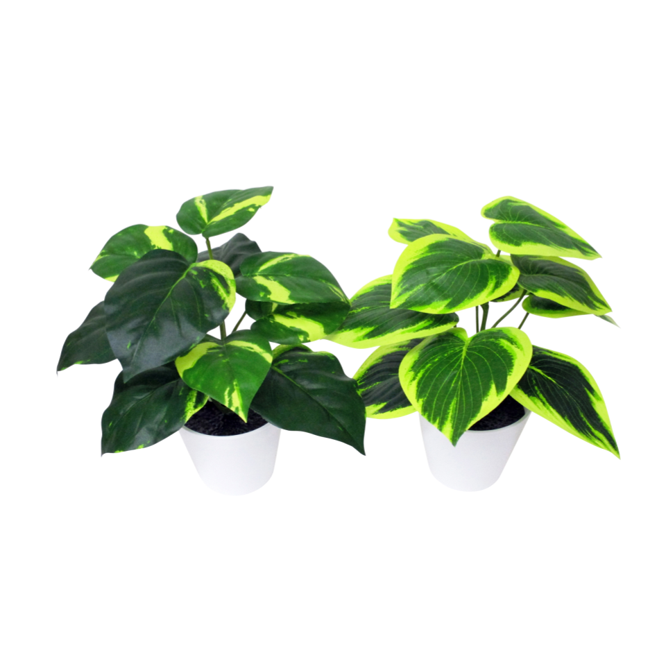 Green Pot 2