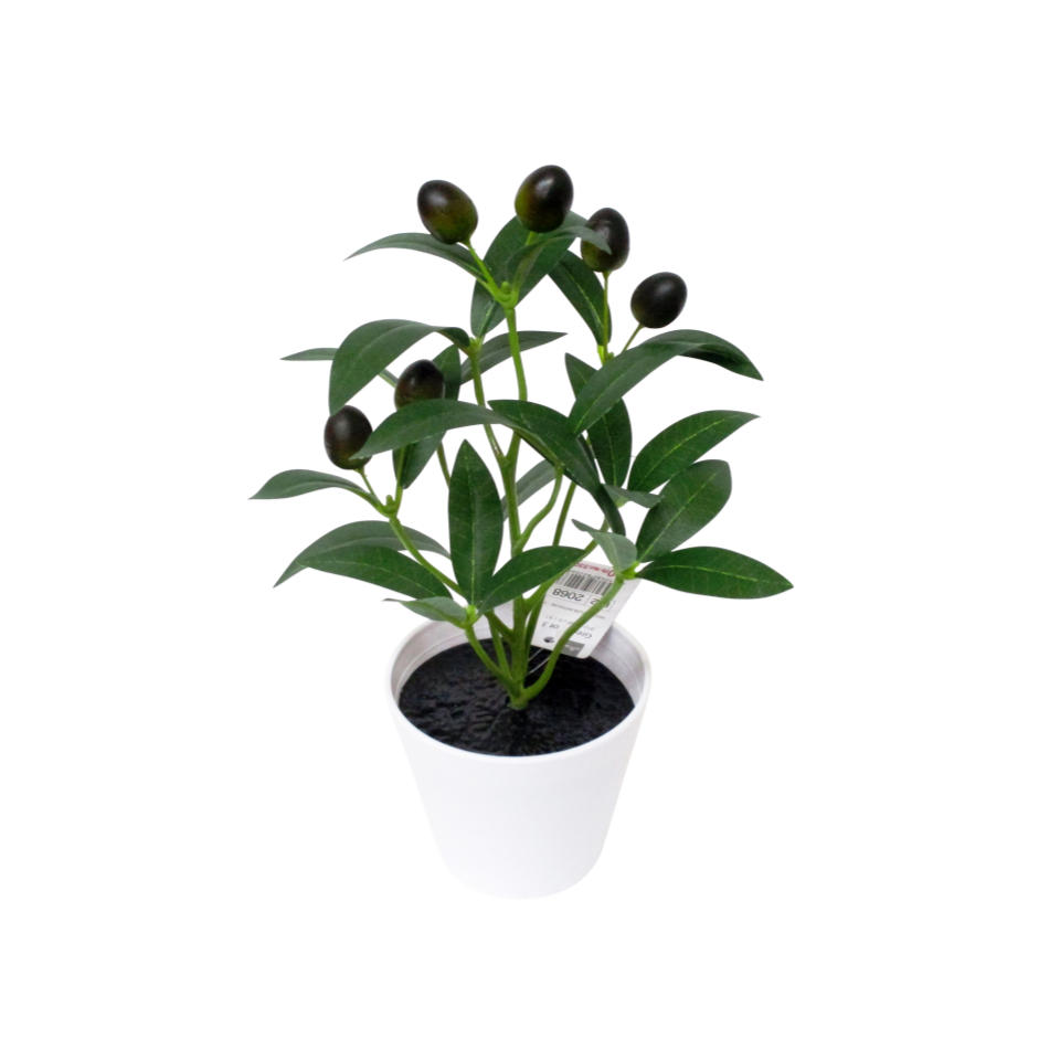 Green Pot 3