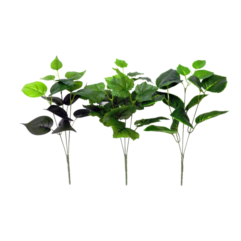 Green Bush