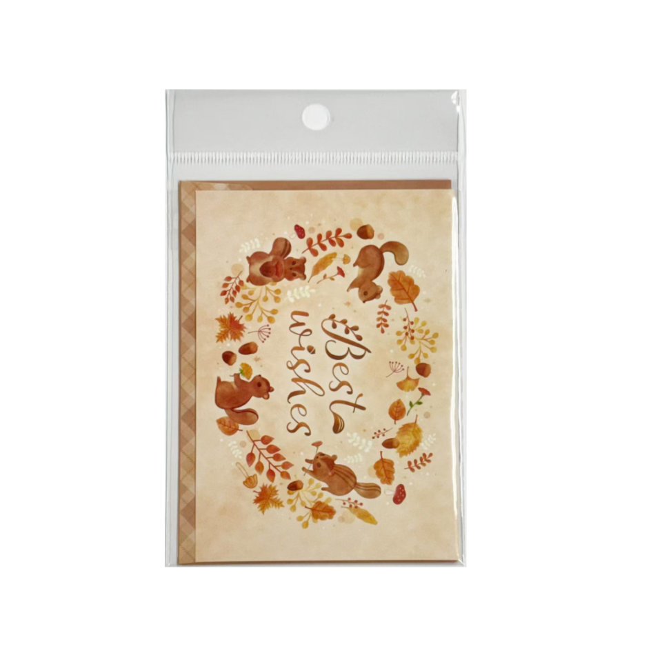Greeting Card Squirrel with Envelope