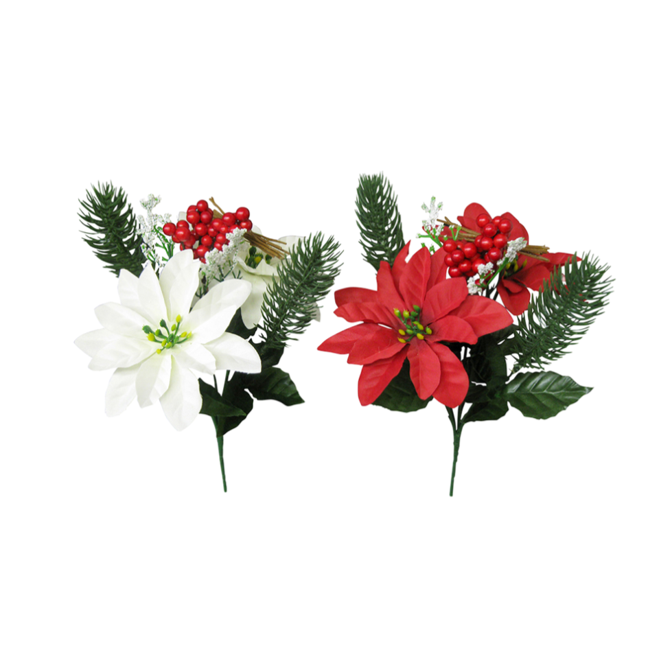 Poinsettia Mixed Bush