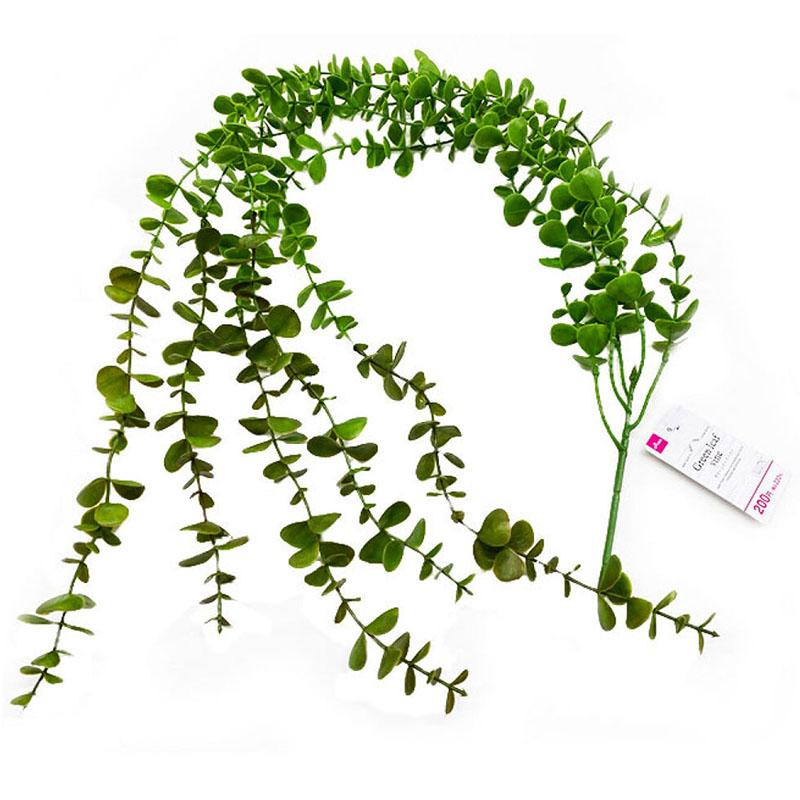 Green Leaf Vine
