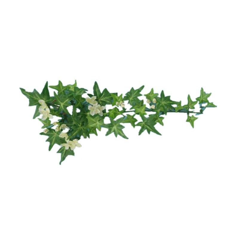 Wall Decoration Ivy