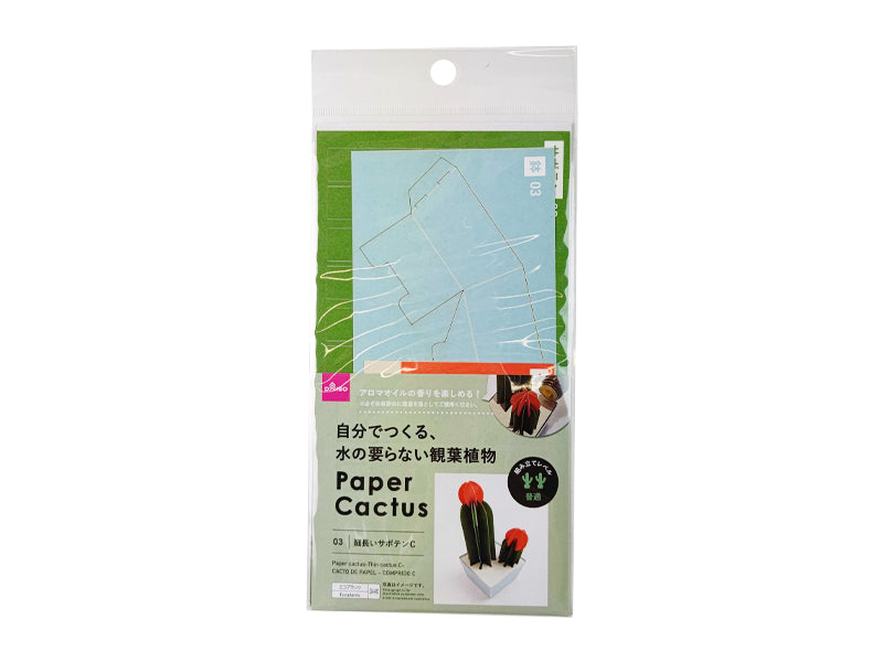 Paper cactus-Thin cactus C-