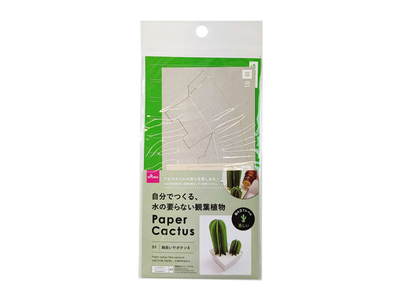 Paper Cactus Thin A