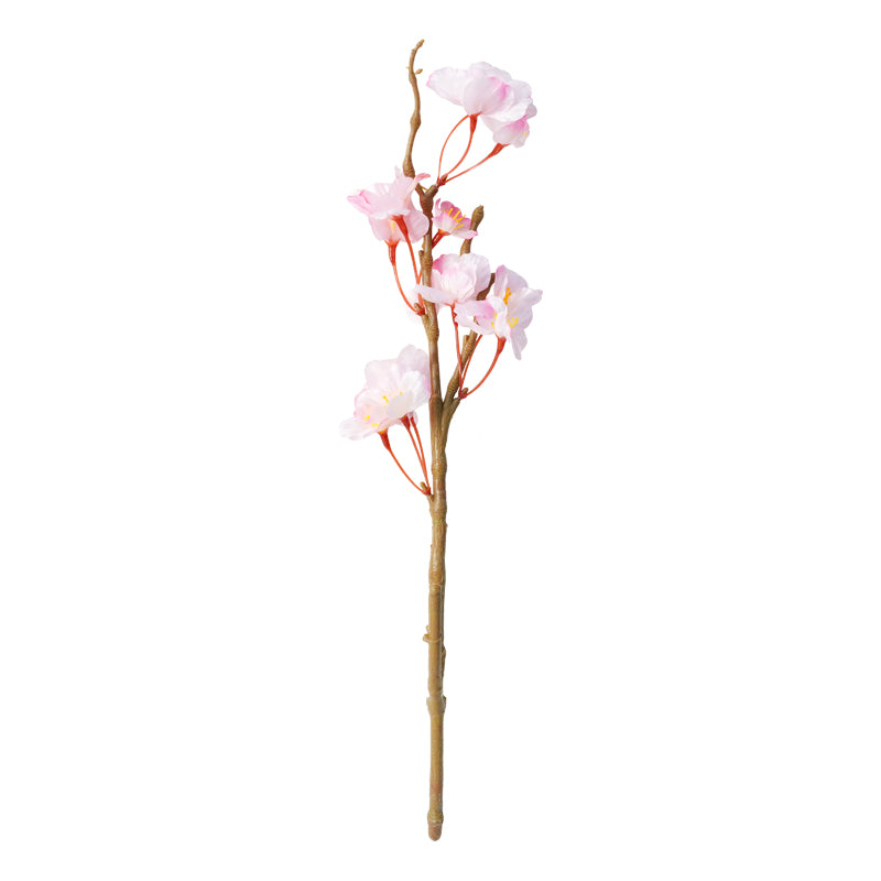 Cherry Blossom Branch